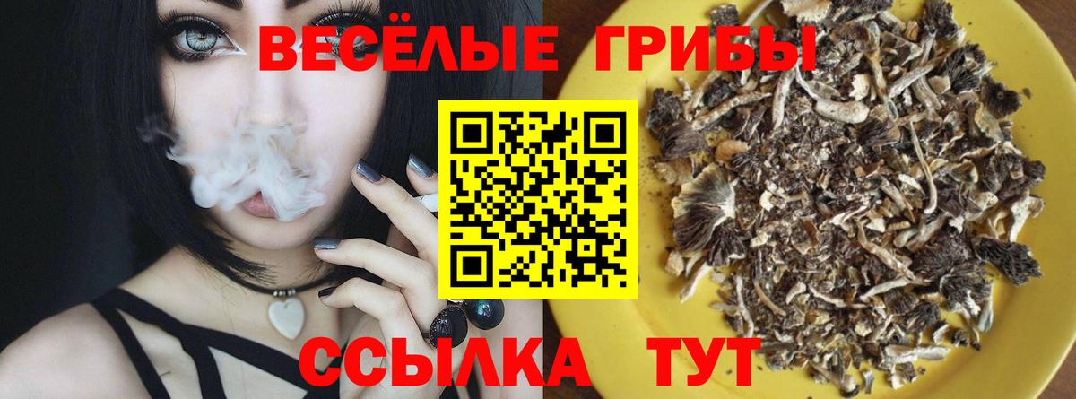 Краснокаменск  Псилоцибиновые грибы мухоморы  Галлюциногенные грибы мицелий  Вход с VPN 